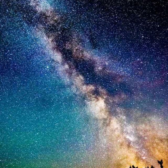 Meet your Posher, Kay - Picture 1 of 1